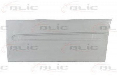 BLIC 6015003542121p -