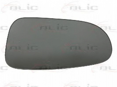 BLIC 6102010198p -
