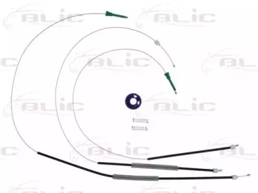 BLIC 620501035806p -