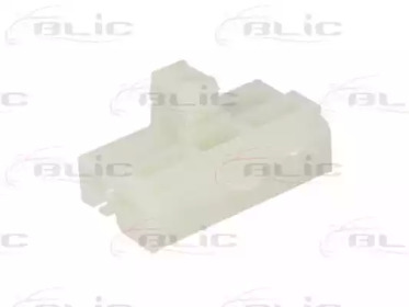 BLIC 620502020821p -