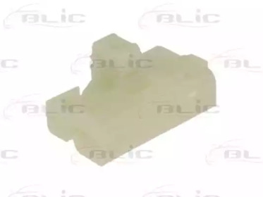 BLIC 620502020822p -  