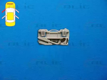 BLIC 620503016821p -  