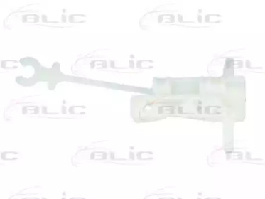 BLIC 620509041821p -