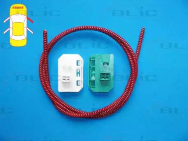 BLIC 620509100802p -