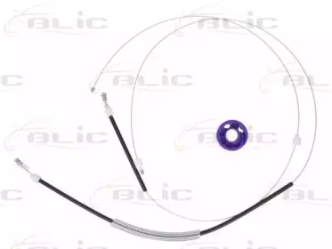 BLIC 620510013816p -