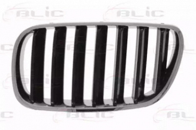 BLIC 65020700939910p -  Решетка радиатора
