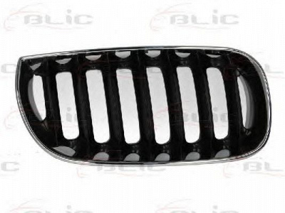 BLIC 6502070093992p -  Решетка радиатора