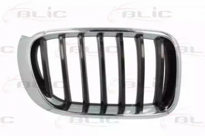BLIC 65020700939944p - Решетка радиатора