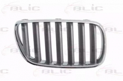 BLIC 65020700939960p -  Решетка радиатора