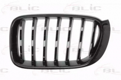 BLIC 65020700939977p - Решетка радиатора