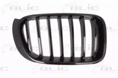 BLIC 65020700939988p - Решетка радиатора