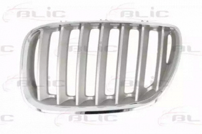 BLIC 6502070095997p - Решетка радиатора
