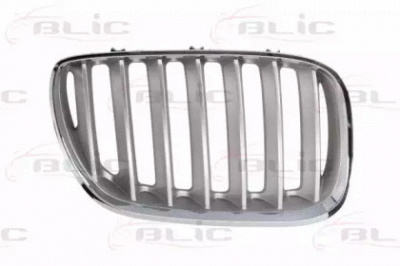 BLIC 6502070095998p - Решетка радиатора