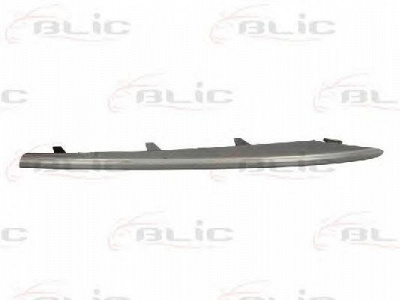 BLIC 6502070096921p -  Облицовка / защитная накладка, буфер