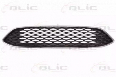 BLIC 650207253699ap -
