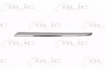 BLIC 6502073532993p -  