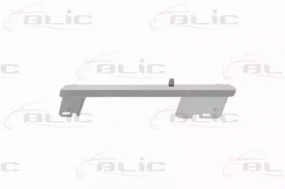 BLIC 6502073580913pp -