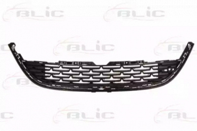 BLIC 6502075053911q -