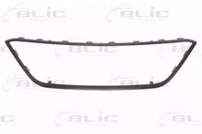 BLIC 6502076622994p -