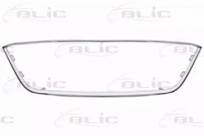 BLIC 6502076622995p -