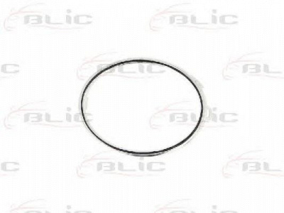 BLIC 6502079534911p -  