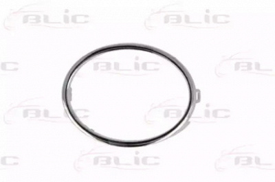 BLIC 6502079534912p -  