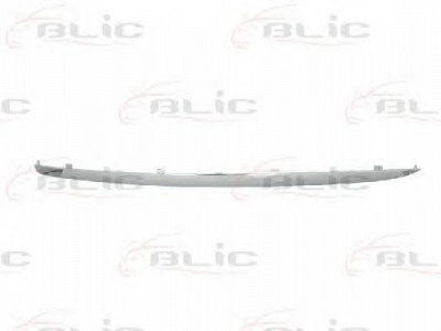 BLIC 6502079544923p -  Облицовка / защитная накладка, буфер
