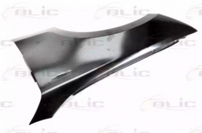 BLIC 6504040085311q -  