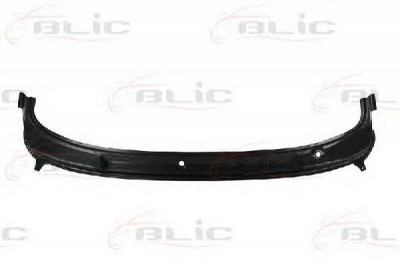 BLIC 6505039520320p -