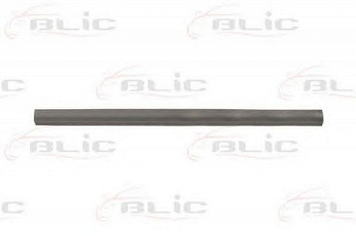 BLIC 6505065519016p -