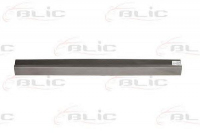 BLIC 6505069568001p -  