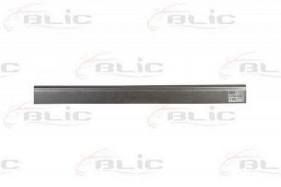 BLIC 6505069568015p -  