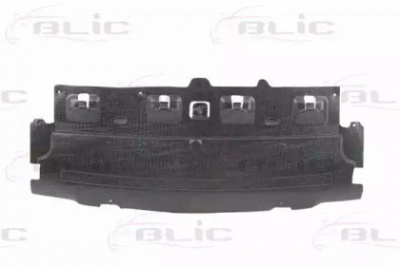 BLIC 6601020524880p -