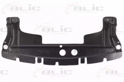 BLIC 6601024001880p -
