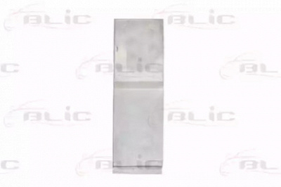 BLIC 894801039991p -