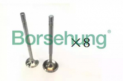 BORSEHUNG b18190 -  Выпускной клапан