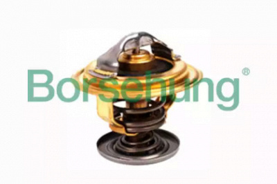 BORSEHUNG b18256 -  Термостат, охлаждающая жидкость