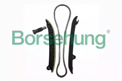 BORSEHUNG b18296 -  Комплект цели привода распредвала