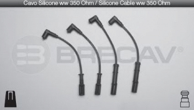 BRECAV 065104 -
