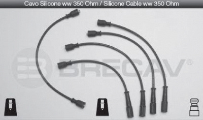 BRECAV 06556 -