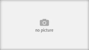 BREMSI dba305v -  Тормозной диск