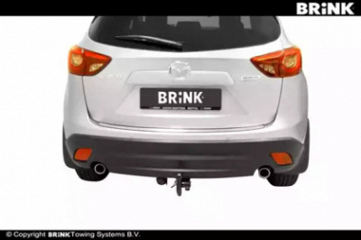 BRINK 554700 -