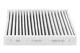 BSG bsg15145013 -