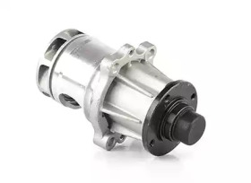 BSG bsg15500003 -