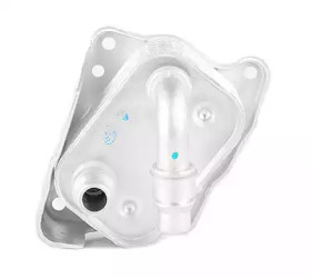 BSG bsg15506005 -