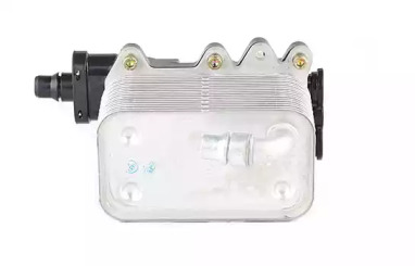 BSG bsg15506010 -  