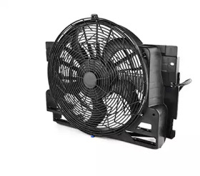 BSG bsg15510005 -