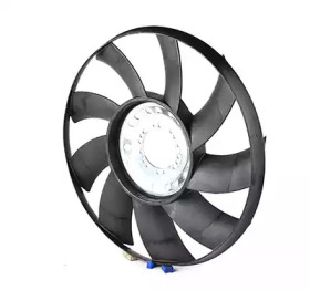 BSG bsg15515003 -