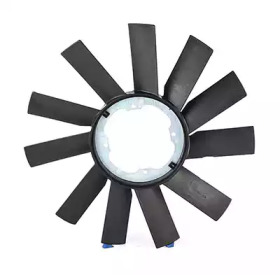 BSG bsg15515007 -
