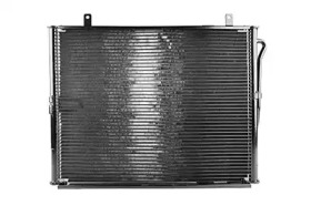 BSG bsg15525009 -